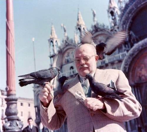 Эрнест Хемингуэй кормит голубей (Венеция, 1954 год)