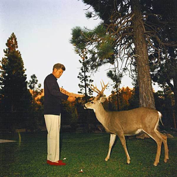 Джон Кеннеди кормит оленя, 1963 год