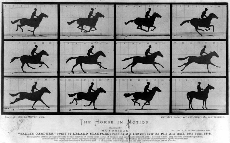 Эдвард Мейбридж. "Лошадь в движении"