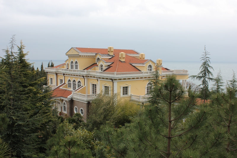 Чайный дом Виктора Януковича