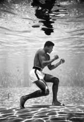 Тренировка Мухаммед Али в бассейне отеля Sir John, Майами, 1961 год