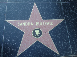Звезда Сандры Буллок на Голливудской Аллее славы
