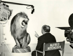 Альфред Хичкок, руководящий львом во время съемки легендарной заставки студии Metro-Goldwyn-Mayer, 1958 год