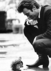 Клинт Иствуд кормит белочку на съемках фильма «Блеф Кугана», 1968 год