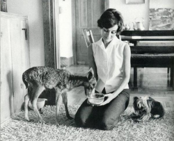 Одри Хепберн со своими питомцами олененком Пиппином и йоркширским терьером миссис Фамоус