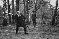 Лев Толстой играет в городки, 1909 год